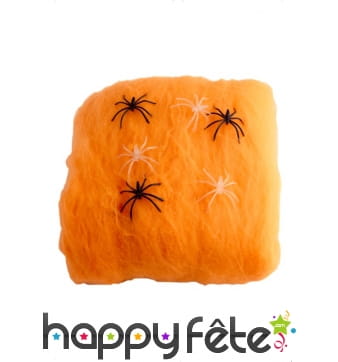 Toile d'araignées orange