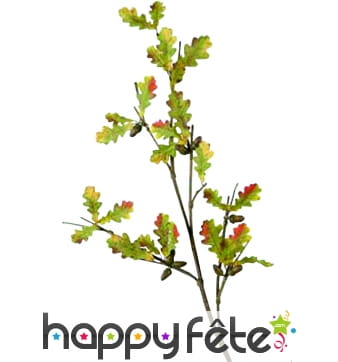 Tiges de feuilles de chêne