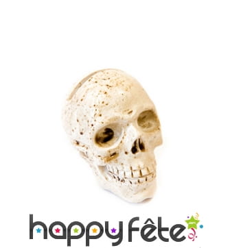 Tête de mort marque-place résine 4,5cm