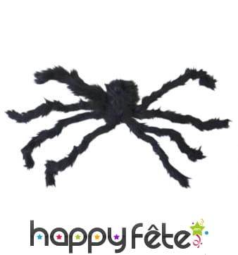 Très grosse araignée yeux rouge