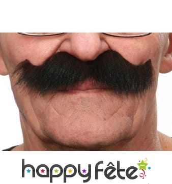 Très grosses Moustaches brunes