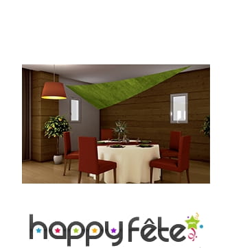 Tenture/voile anis de1.5 x 4 m