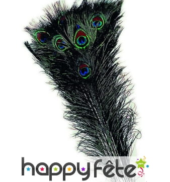 Véritable plume de paon bleu vert de 70cm