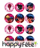 12 Décos pour biscuits Ladybug de 6 cm en sucre