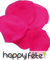 100 pétales de rose fuchsia