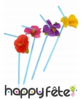 12 pailles décorée d'une fleur Hawaienne
