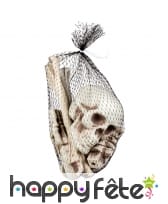 12 pièces de squelette désossé, 27x16 cm