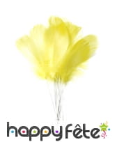 12 Plumes de 10cm sur pic métallique, image 1