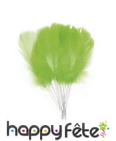 12 Plumes de 10cm sur pic métallique, image 2