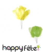 12 Plumes de 10cm sur pic métallique