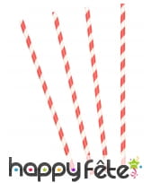 10 Pailles rayées rouge et blanc