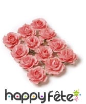 12 Roses à piquer corail sur tige en fer souple