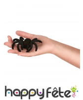 2 Araignées noires poilues de 10cm, image 1