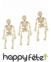 3 squelettes de 12cm à suspendre