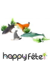 4 animaux marins jouet