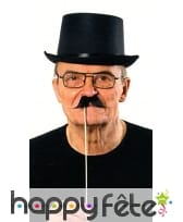 5 moustaches noires sur baton