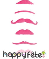 6 moustaches roses