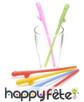 6 Pailles zizi multicolores, image 1