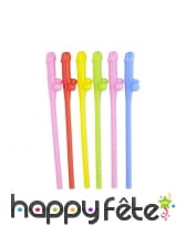 6 Pailles zizi multicolores, image 2