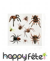 9 Tatouages araignées sur planche de 23x20cm