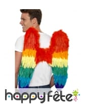 Ailes d'ange multiclores, image 1