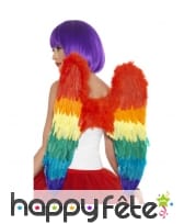 Ailes d'ange multiclores, image 2