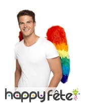 Ailes d'ange multiclores, image 3