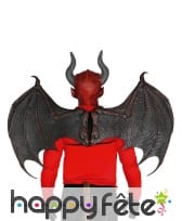 Ailes démon semi rigides de luxe 100x80cm