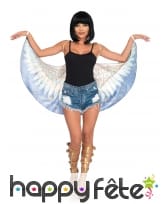 Ailes égyptienne en tissu léger