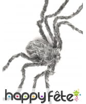 Araignée grise de 160cm, image 1