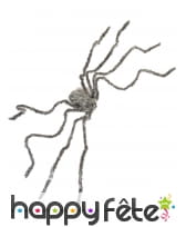 Araignée grise de 160cm
