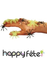 Araignees noires et phosphorescent, image 1