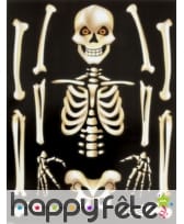 Autocollant squelette pour fenêtre