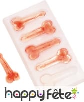 Bac a glacon original grand zizi