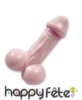 Bac à glaçons zizi de 19cm