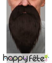 Barbe brune avec moustaches luxe