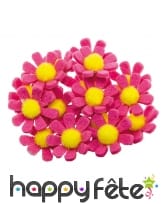 Boite de 18 pâquerettes adhésives en feutrine, image 2