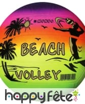 Ballon de beach volley
