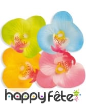 Boite d'orchidées, image 1