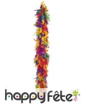 Boa de plumes multicolores