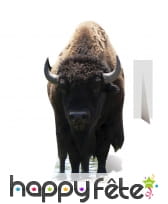 Bison en carton taille réelle