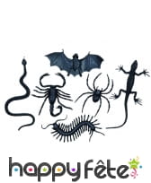 Bestioles horribles