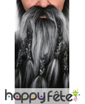 Barbe-moustaches de barbare poivre et sel