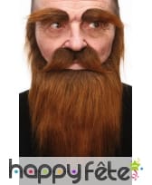Barbe, moustache et sourcils chatain