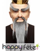 Barbe, moustaches et sourcis gris maitre chinois