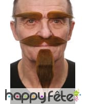 Barbichette, moustaches et sourcils chatains