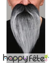 Barbe poivre et sel de savant avec moustaches