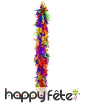 Boa plumes multicolores 180 cm