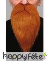 Barbe rousse de peintre avec moustaches