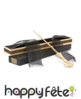 Baguette Voldemort, réplique